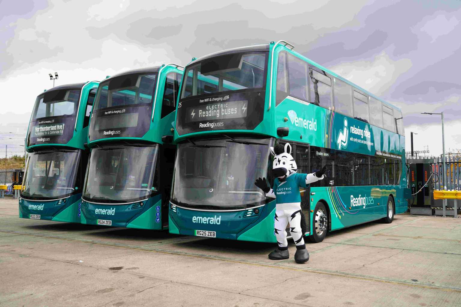 a lineup of emerald electric buses with a zebra mascot in front with its arms up